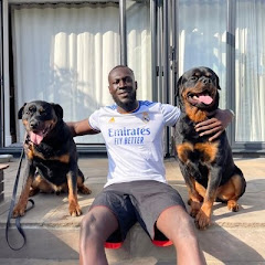 Stormzy net worth