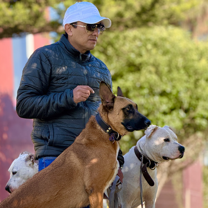 Carlos Jimenez Adiestramiento Canino CDMX
