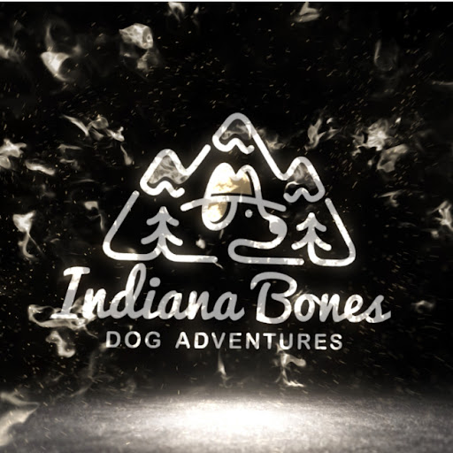 Indiana Bones Dog Adventures