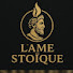 aP0f3_x4eog-channel-avatar-L'Âme Stoïque