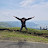 @bentra-pi