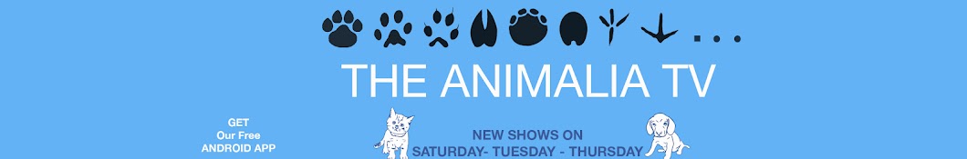 The Animalia Tv Avatar channel YouTube 