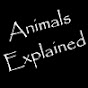 Animals Explained logo