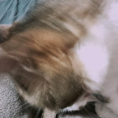 てへんアイコン画像