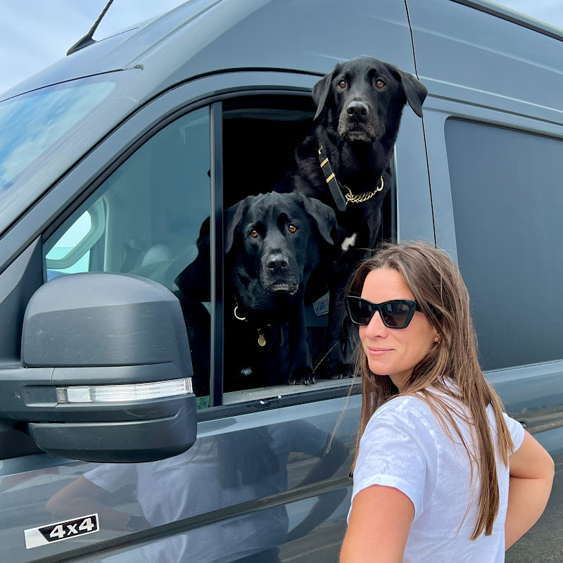 Unlikely Explorers