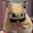 @AURA-HAMSTER Avatar
