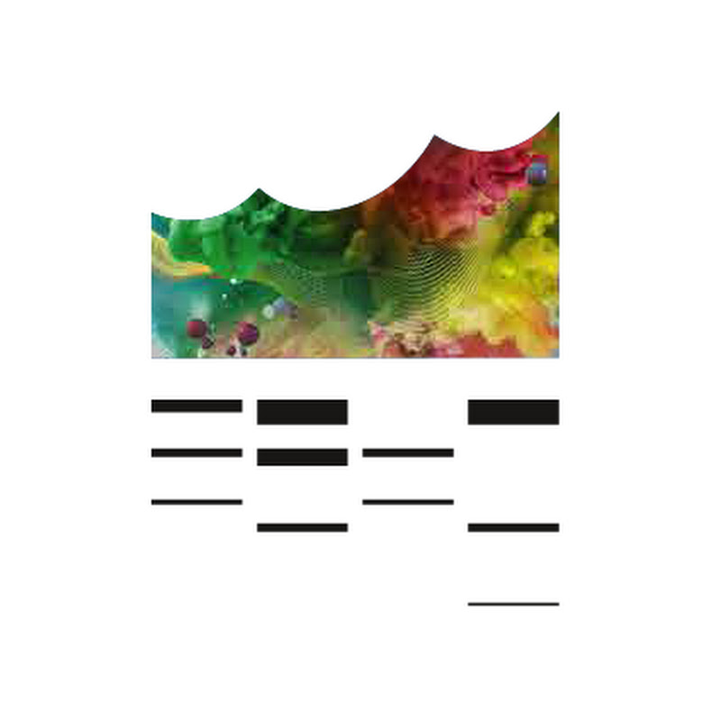 Elbphilharmonie Hamburg