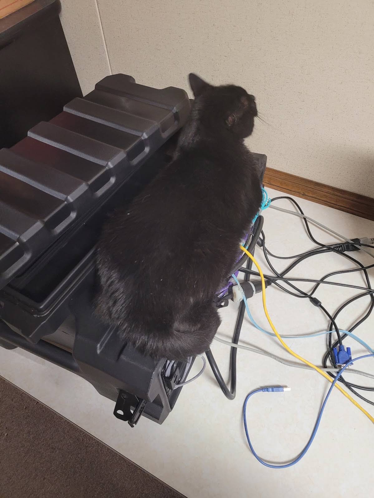 Post from Computers Cats and More - YouTube