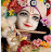 @shivanshtrivedi2175