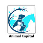 Animal Capital logo