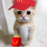 w7iLwkSaLqA-channel-avatar-Kxox0x