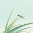 xxsdPB2OHLQ-channel-avatar-First Light Serenade