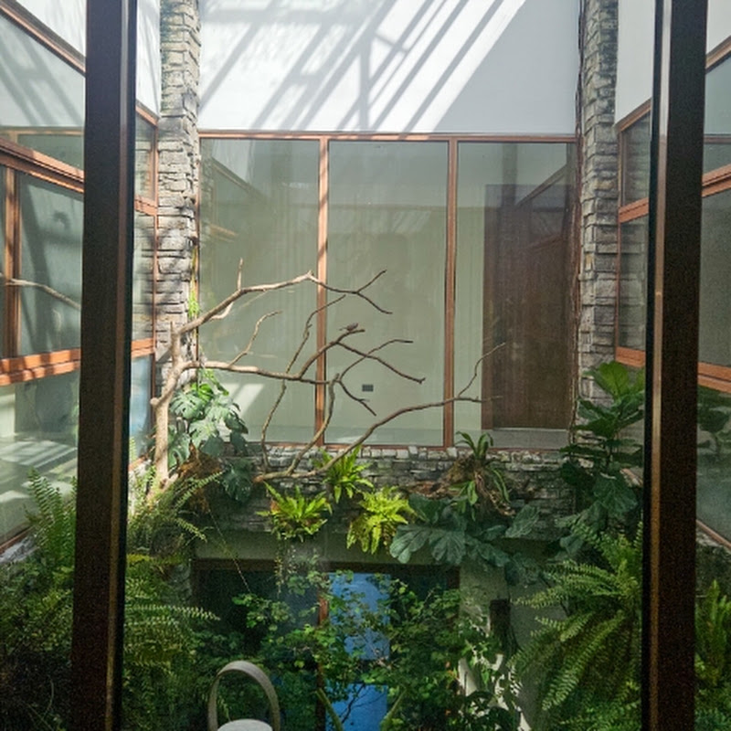 My Giant Home Aviary