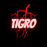 rNP1LHjqgOY-channel-avatar-TigroGame