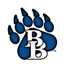 Brewer Bear Network