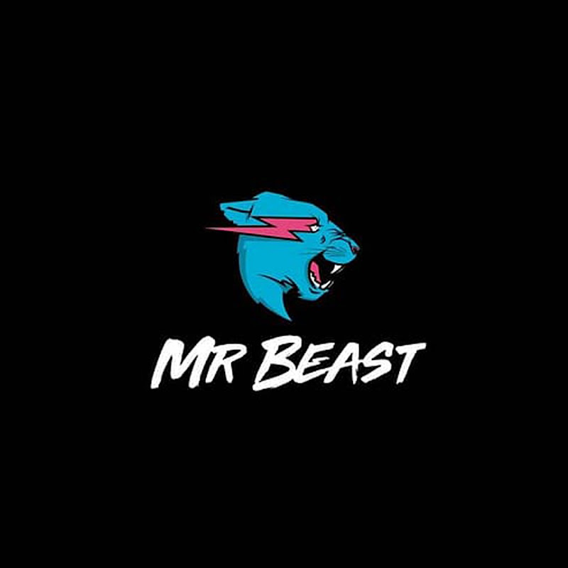 미스터 비스트