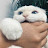 @jjang_azzi