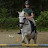 @Equestrian_jumping