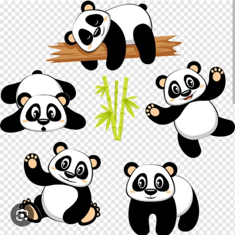 Panda Pandu TL