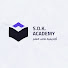 1I-fH0crI2Y-channel-avatar-SOK Academy