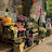 @ShimaaMohammed-eu4pw