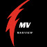 J9lsK8P1GjE-channel-avatar-ManView