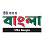 USA Bangla logo