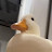 @totallyrandomduck