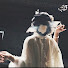 gJX9kOGfGkc-channel-avatar-清風入墨