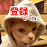 597F-Ccnn5c-channel-avatar-【リアル犬猫保護活動】にゃいるどはーと