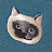 @lifequestion4906