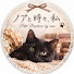 W3XKmjNPZlA-channel-avatar-「ノアと時々、私」