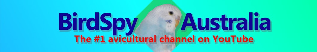 Bird Spy Australia Awatar kanału YouTube