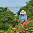 uHlc2iI6T18-channel-avatar-풀꽃바다 Korean Slow Living