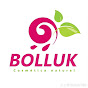 Bolluk-Cosmética Natural  logo