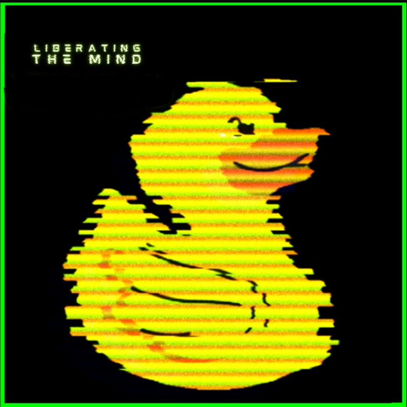 CyberDucky