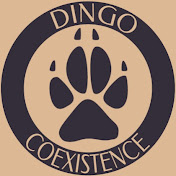 Dingo Coexistence