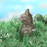 T-VDO0bsWKY-channel-avatar-geoVR and 3 more