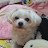 @체리-j5y7f