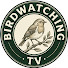 x1wL9JTAu9c-channel-avatar-Birdwatching TV