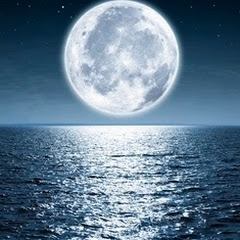 Oceans Moonlit Pathways