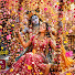 QZgsvVku_24-channel-avatar-anandbhakti marg ashtha🙏🏼