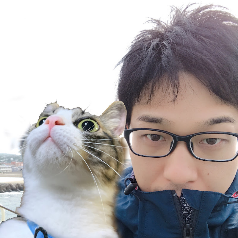 旭と猫のツナAsahi and cat Tuna