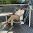 @BernardoDalas