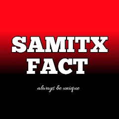 samitX fact avatar