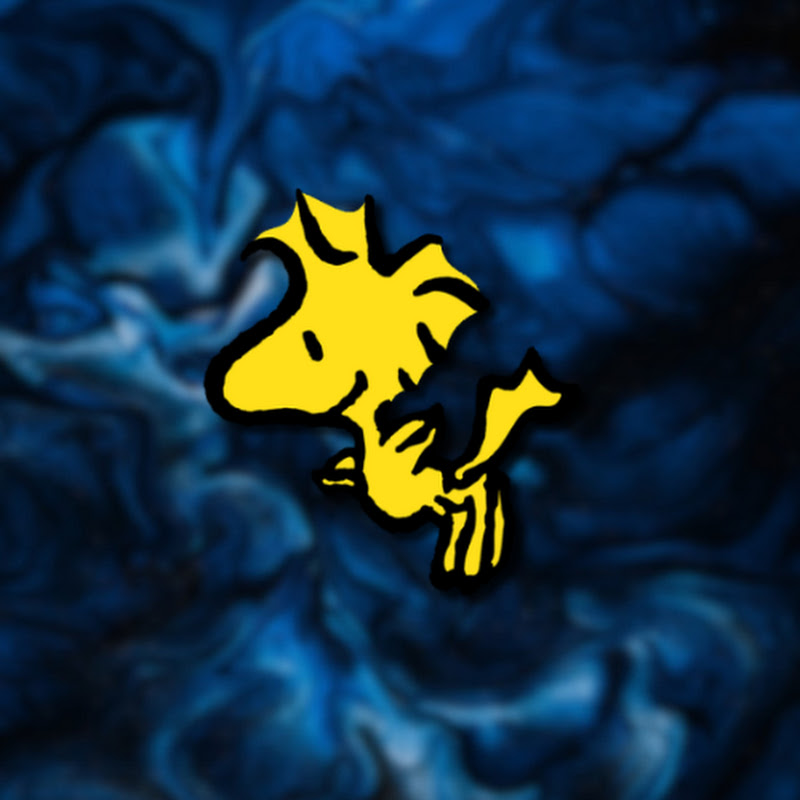 Woodstock On The Beat