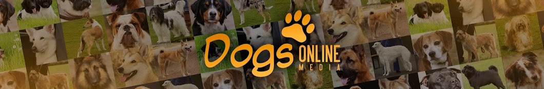 Dogs Online यूट्यूब चैनल अवतार