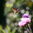 @a.wartongarden1957 Avatar