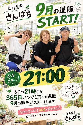 🌵✨ 本日21:00 START ✨🌵 ＼ 今夜、通販販売スタート‼️ ／ さんぱち