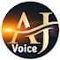 5YcIPG8zqOU-channel-avatar-AJ Voice